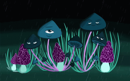 Mushrooms Happy Mushrooms GIF