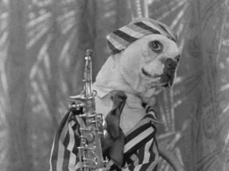 Music Puppy GIF