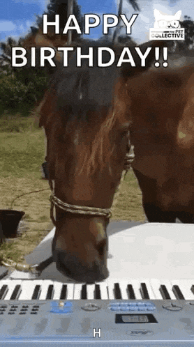 Musical Animals Piano GIF