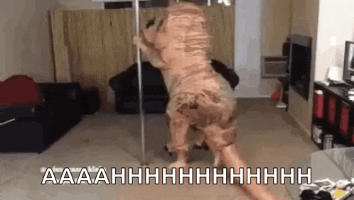 Mustard Plays GIF