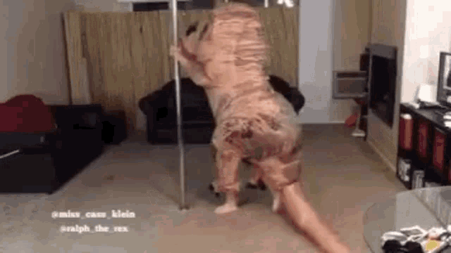 Mustard Plays GIF