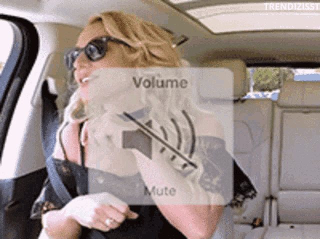 Mute Britney Spears GIF