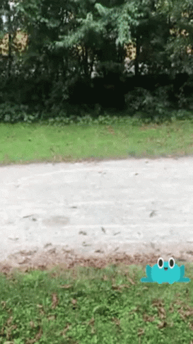Mvg Mvg Rad GIF
