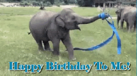 My Birthday Happy Birthday To Me GIF