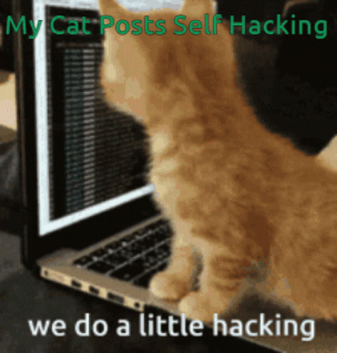 My Cat Was Hacking GIF. This 476 x 498 animated GIF is part of our im in hacker collection. Created by KittyKatCookie. View the original animation, share…