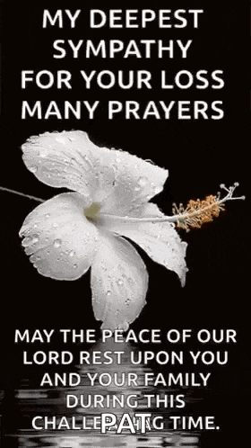 My Condolences To You And Your Family GIF
