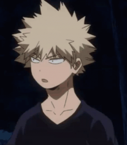 My Hero Academia Boku No Hero Academia GIF