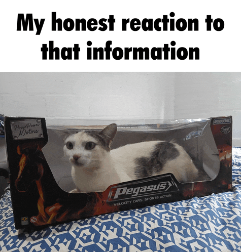 My Honest Reaction Bruh Meme