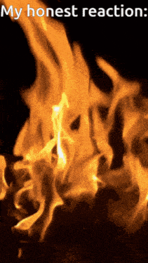 My Honest Reaction Fire GIF