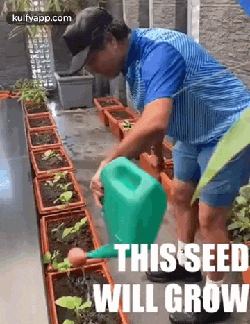 My Kitchen Garden We Can All Take Small Steps Towards Sustainability- Sachin Tendulkar.Gif GIF