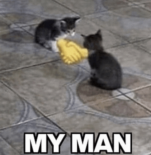My Man Agree Meme