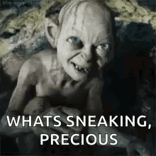 My Precious Lord Of The Rings GIF