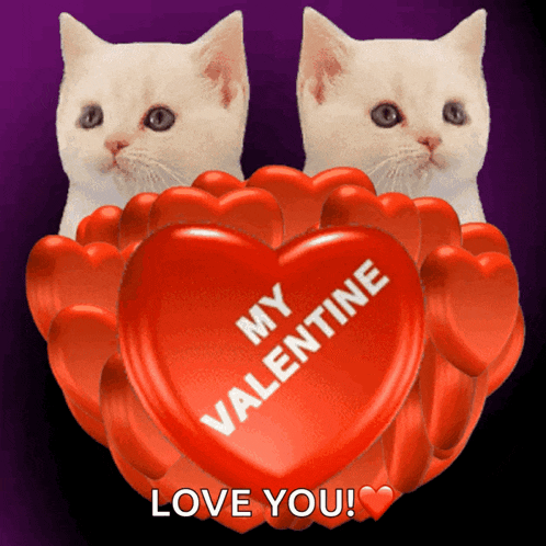 My Valentine Be My Valentine GIF