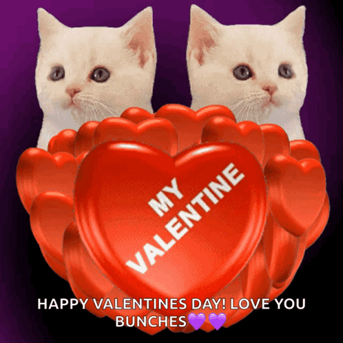 My Valentine Be My Valentine GIF