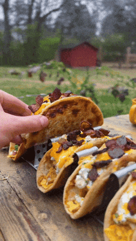 Nacho Tacos Food GIF