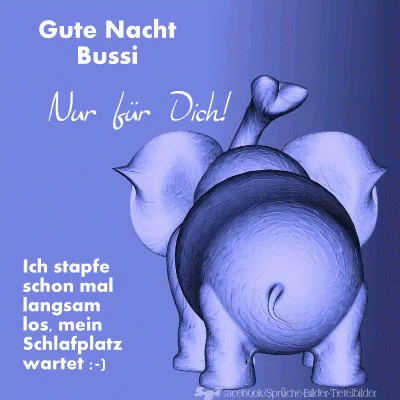 Nachti GIF. This 400 x 400 animated GIF is part of our hitze lustige bilder collection. View the original animation, share it, or browse related GIFs.
