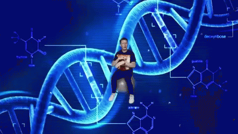 Nakeyjakey Gamer Brains GIF