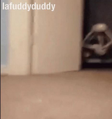 Name Lafuddyduddy GIF. This 466 x 498 animated GIF is part of our hearing aid collection. Created by lafuddyduddy. View the original animation, share it, or…