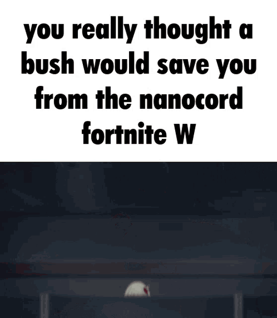 Nano Fortnite GIF