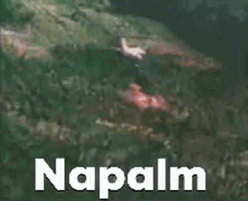 Napalm Forest Fire GIF