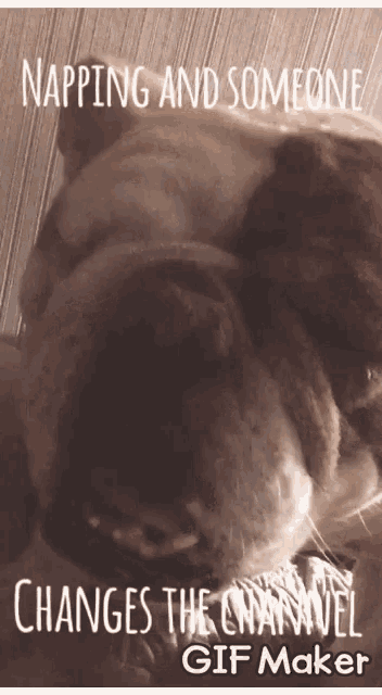 Napping Naps GIF