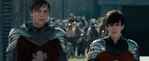 Narnia Brothers GIF