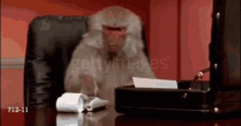 Nasaphobic GIF. This 498 x 261 animated GIF is part of our contabilidad collection. Created by vvenustea. View the original animation, share it, or browse…