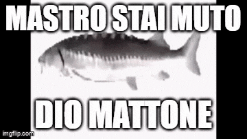 Nastrobarese GIF