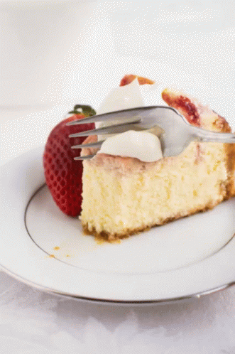 National Cheesecake Day Happy Cheesecake Day GIF