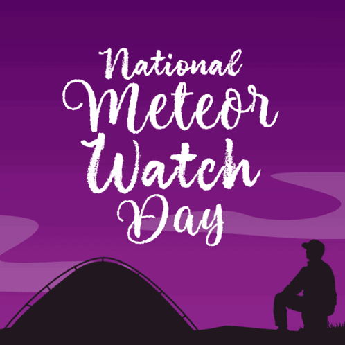 National Meteor Watch Day Night Of The Shooting Stars GIF