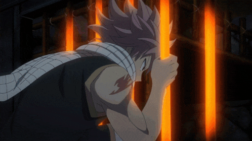 Natsu Natsu Dragneel GIF