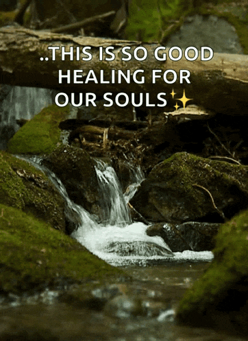 Natural Nature GIF