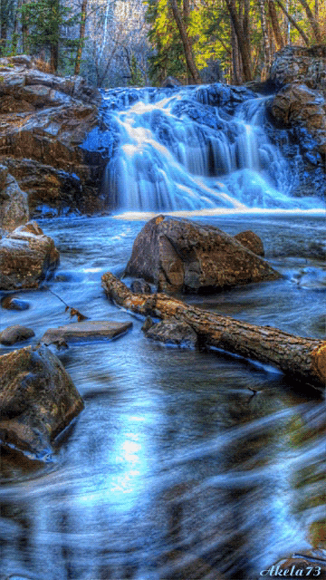 Natural Nature GIF