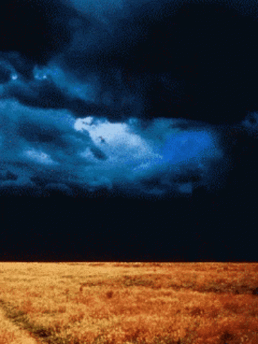 Natural Nature GIF