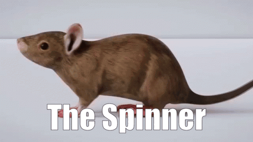 Natural Six Ratural Six GIF