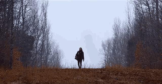 Nature Avi Kaplan GIF