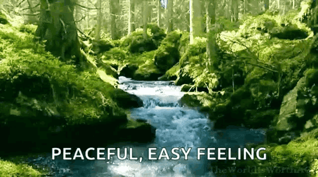 Nature GIF
