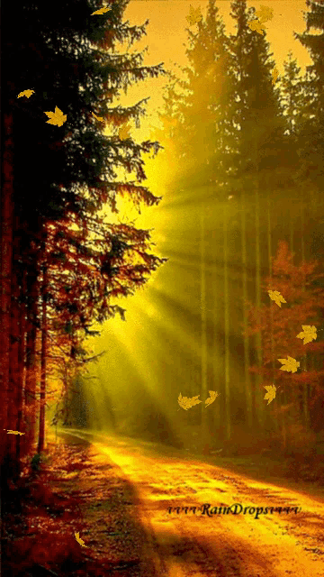 Nature Fall GIF