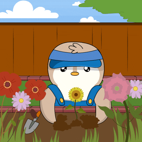 Nature Flower GIF