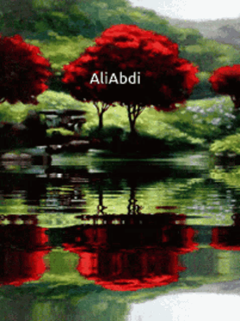 Nature GIF