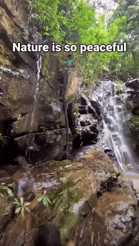 Nature Is So Peaceful Meme GIF