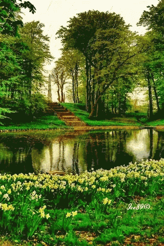 Nature GIF