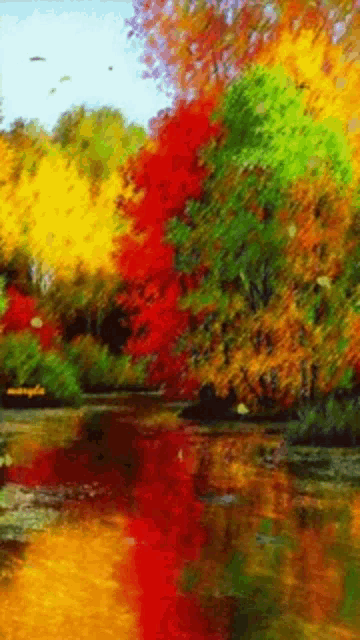 Nature GIF