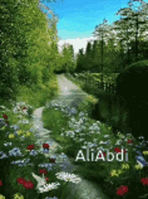Nature GIF