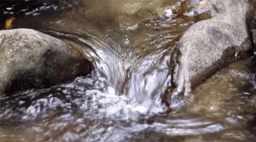 Nature Water GIF. This 498 x 277 animated GIF is part of our moving water collection. Related themes include nature, water. Created by aloistheman. View the…