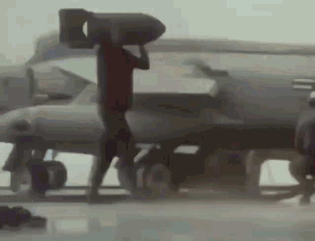 Navy Seal Navy Bonk GIF