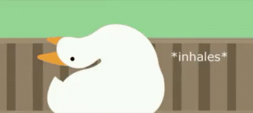 Naz Goose Naz Reid GIF