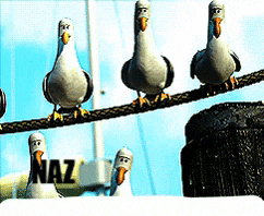 Naz Pokefind GIF