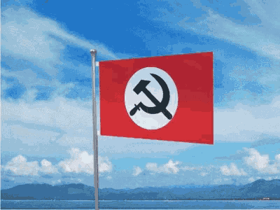 Nazbol Flag Nazbol GIF