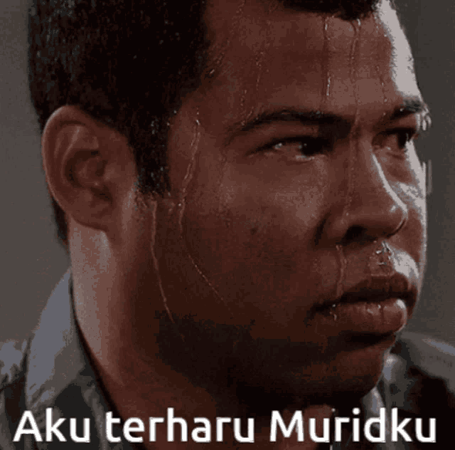 Ndog Ndogholic GIF